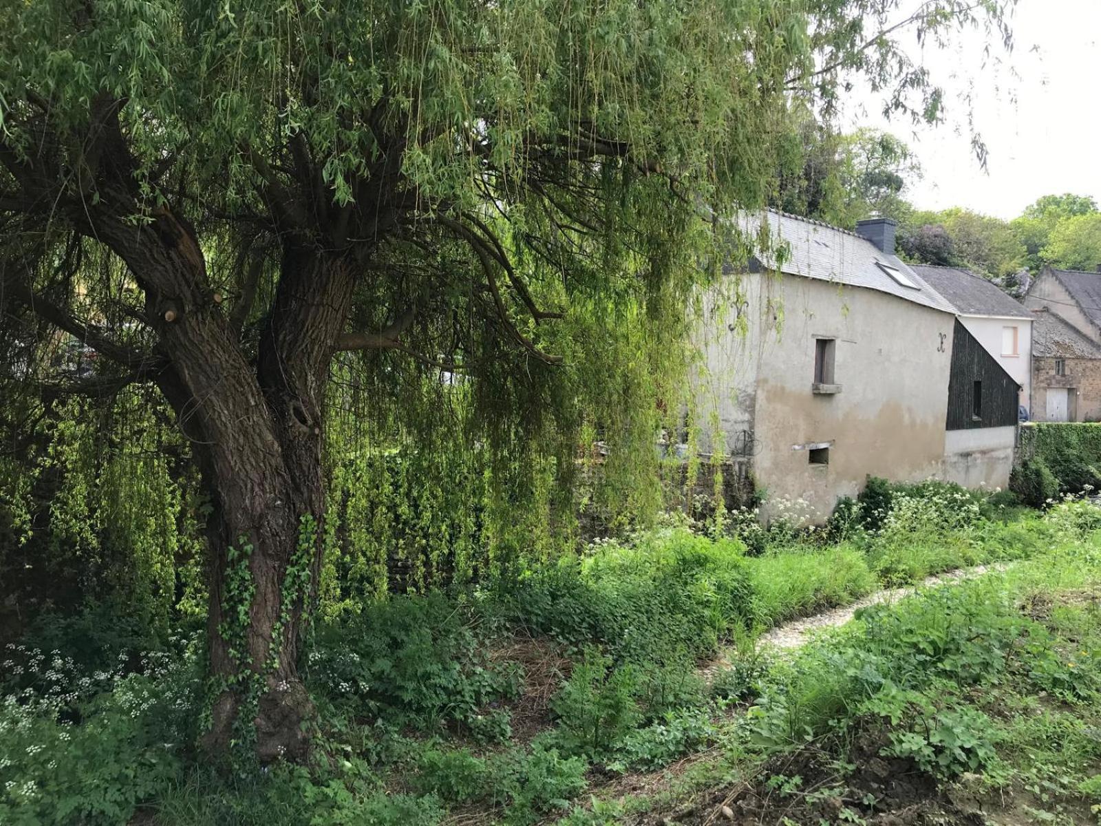 Le Moulin De La Voute Villa La Roche-Bernard Eksteriør billede